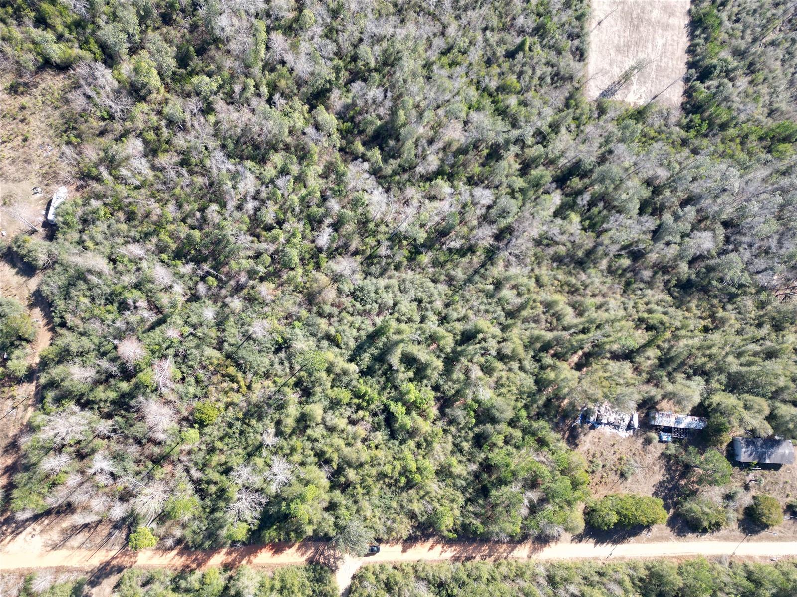 Image 5 of 7 For Mckinney Lane