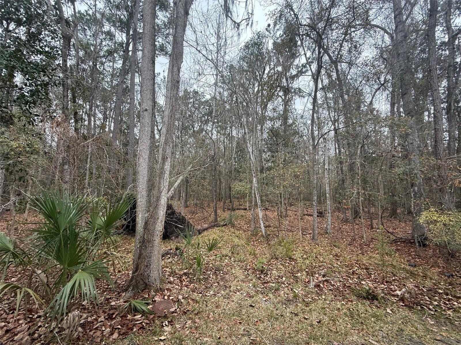 Image 22 of 26 For 7078 52nd Terrace