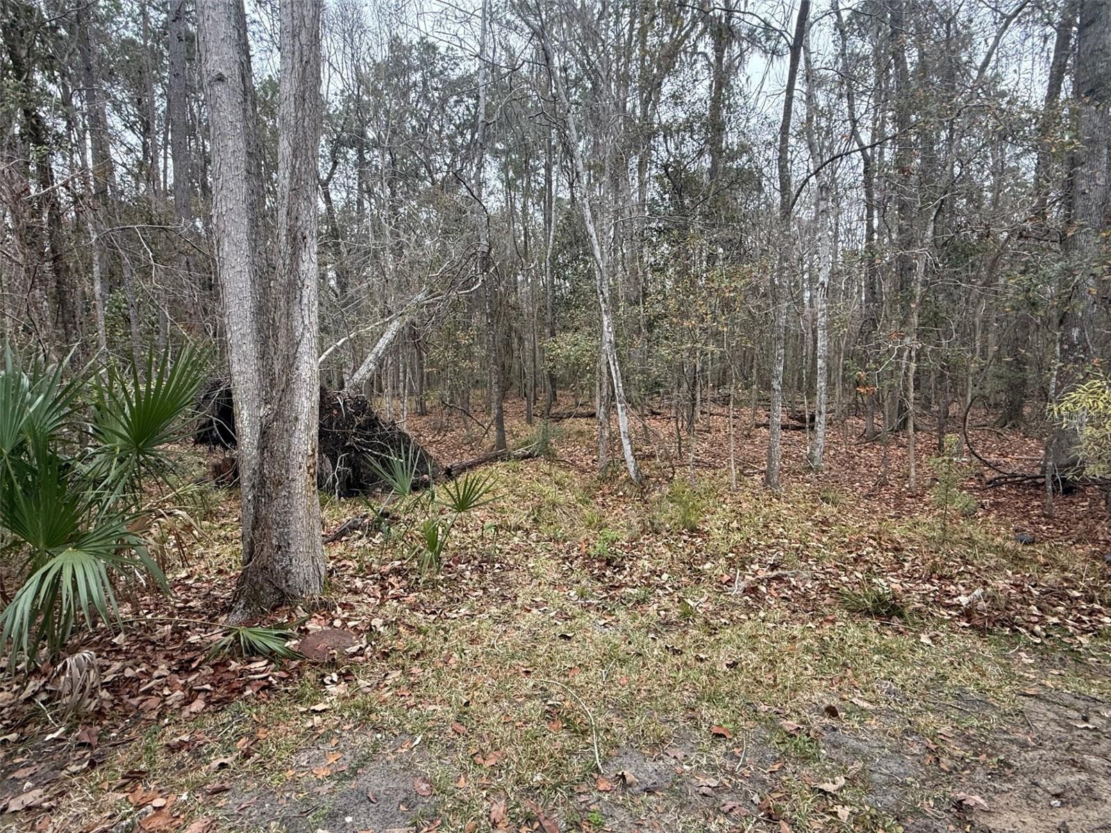 Image 23 of 26 For 7078 52nd Terrace