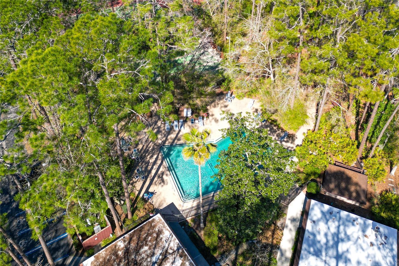 Image 51 of 51 For Address Not Provided