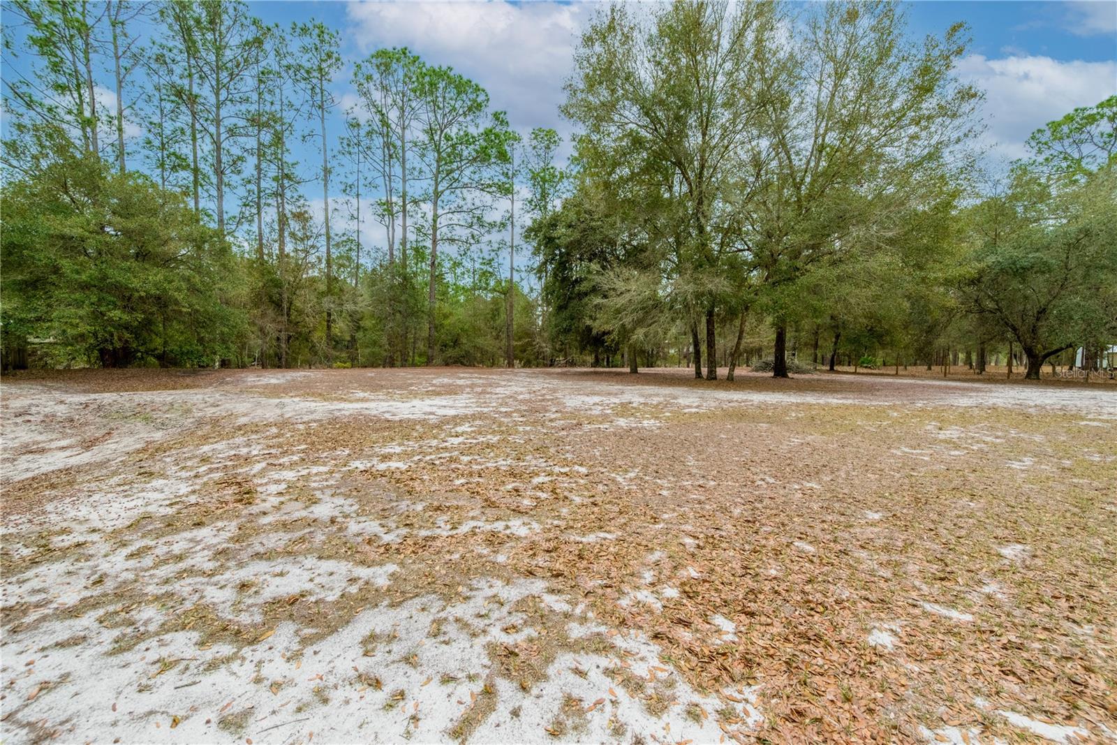 Image 39 of 44 For 5535 Gila Street