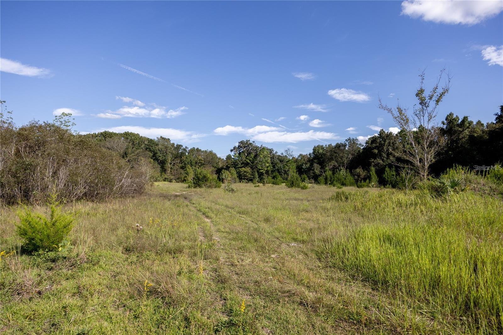 Image 11 of 29 For 0 173rd Place