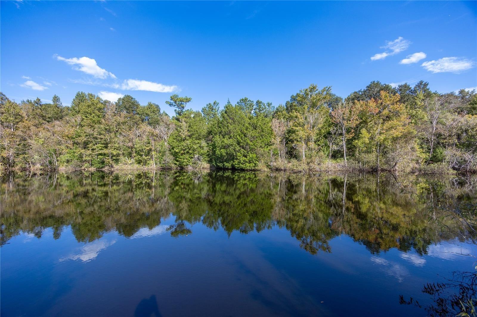 Image 15 of 29 For 0 173rd Place