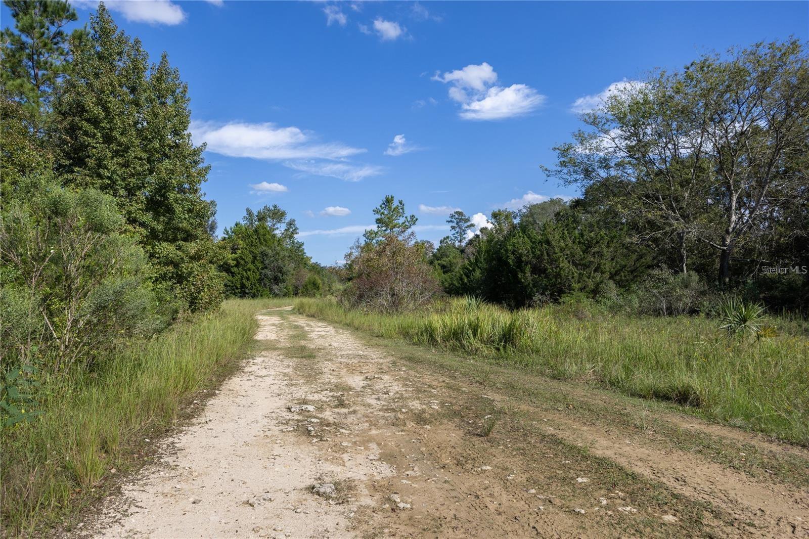 Image 7 of 29 For 0 173rd Place