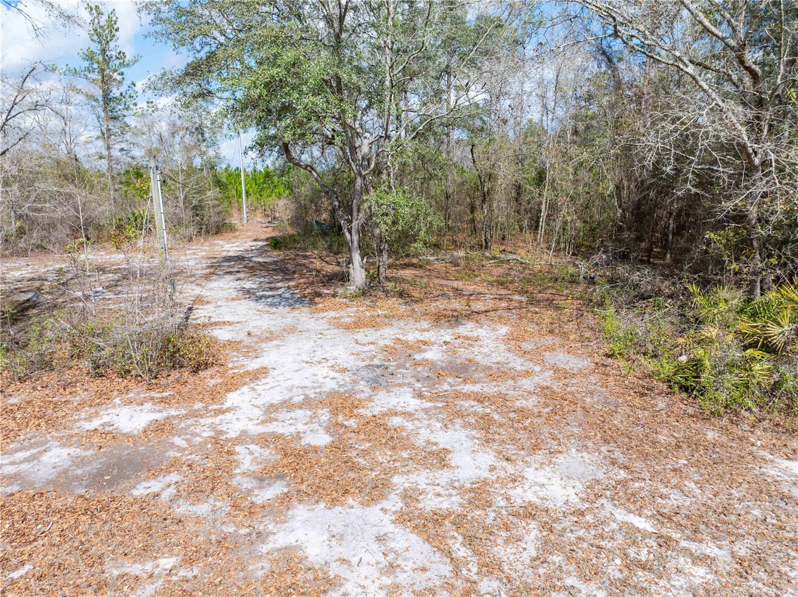 Image 7 of 12 For Lot 9 Sw 39th Drive