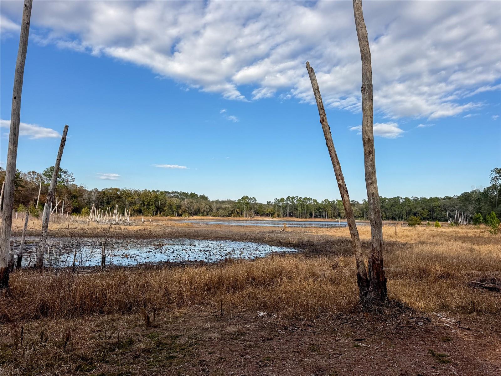 Image 18 of 29 For 114 Mandarin Lake Road