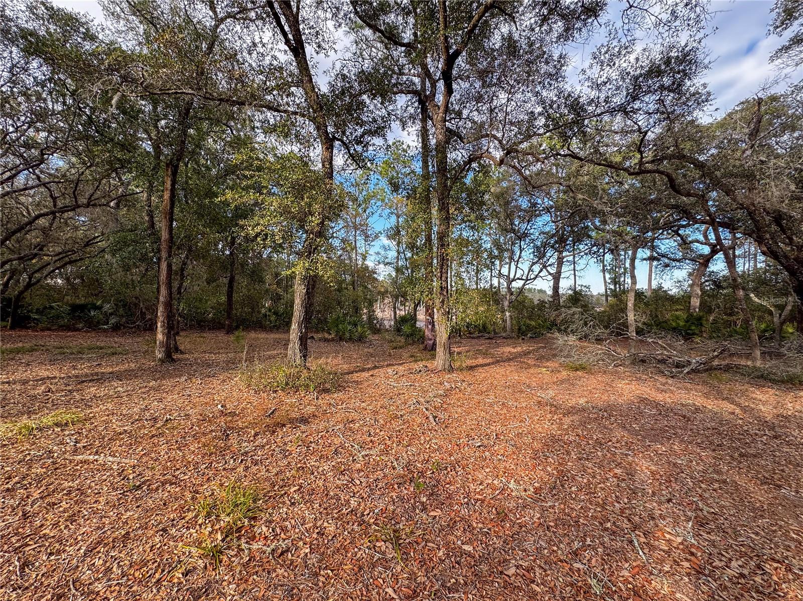 Image 19 of 29 For 114 Mandarin Lake Road