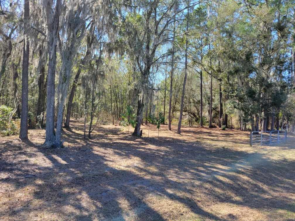 Image 3 of 7 For 10133 Hawthorne Road