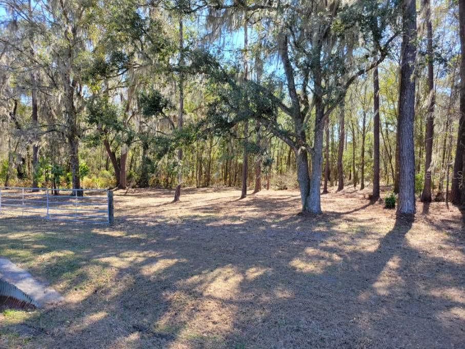 Image 6 of 7 For 10133 Hawthorne Road