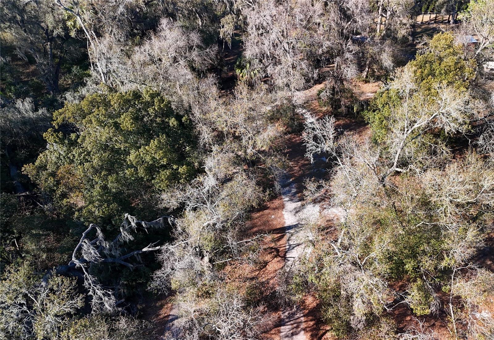 Image 10 of 19 For 3015 Owls Nest Lane