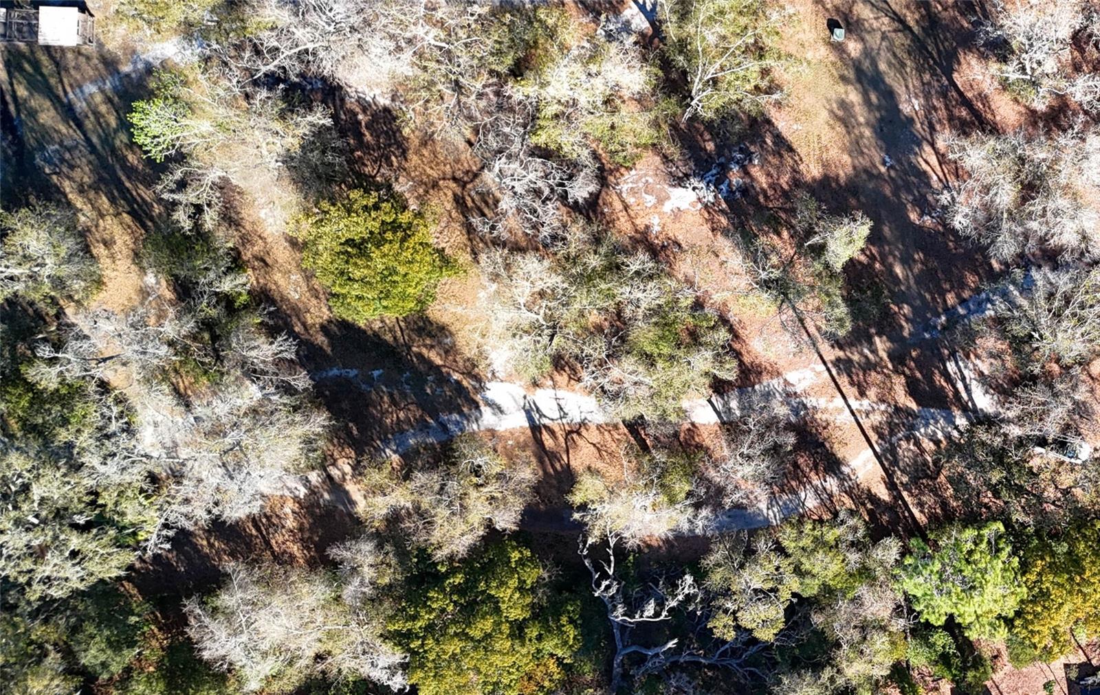 Image 11 of 19 For 3015 Owls Nest Lane