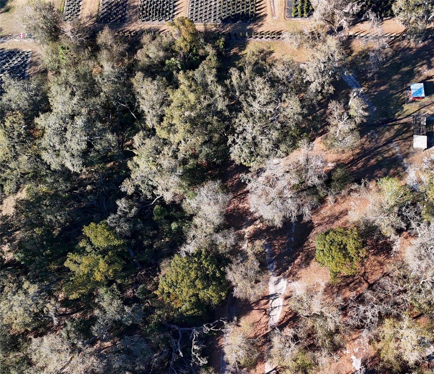 Image 12 of 19 For 3015 Owls Nest Lane