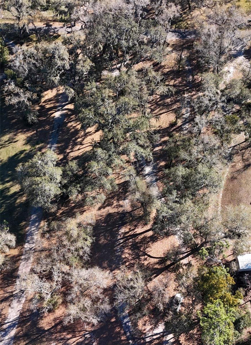 Image 13 of 19 For 3015 Owls Nest Lane