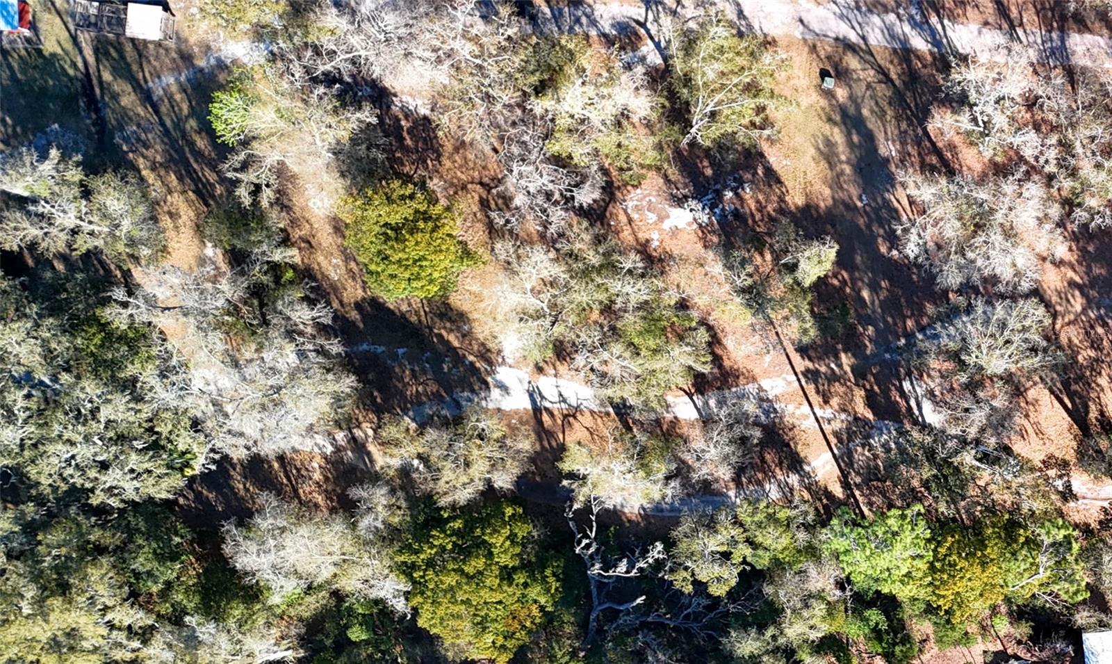 Image 16 of 19 For 3015 Owls Nest Lane