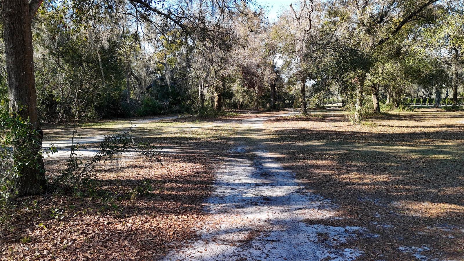 Image 6 of 19 For 3015 Owls Nest Lane