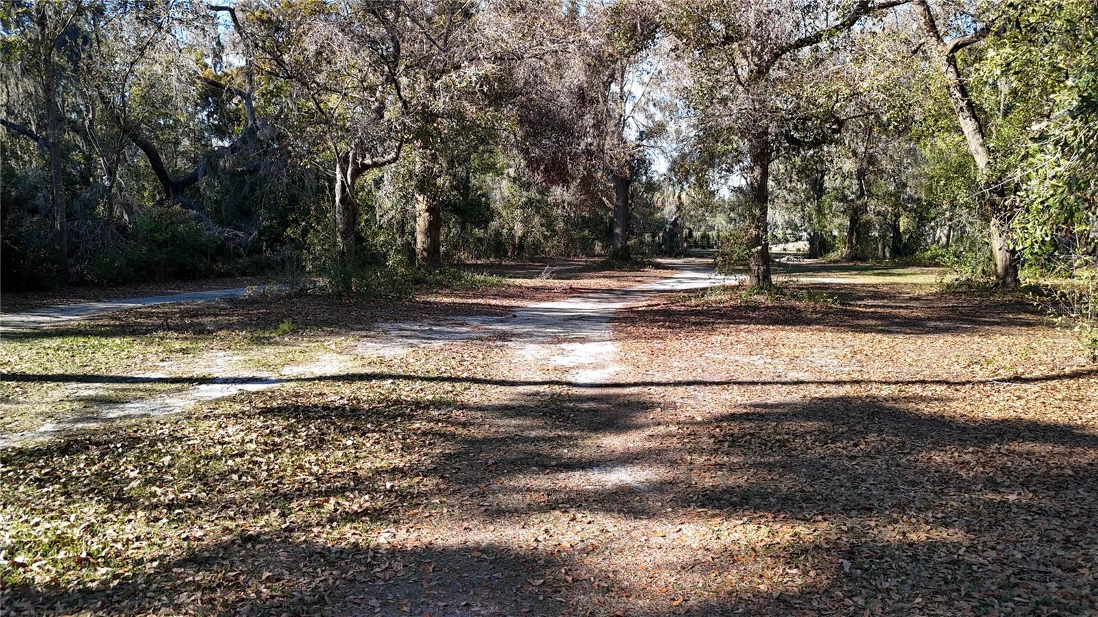 Image 7 of 19 For 3015 Owls Nest Lane