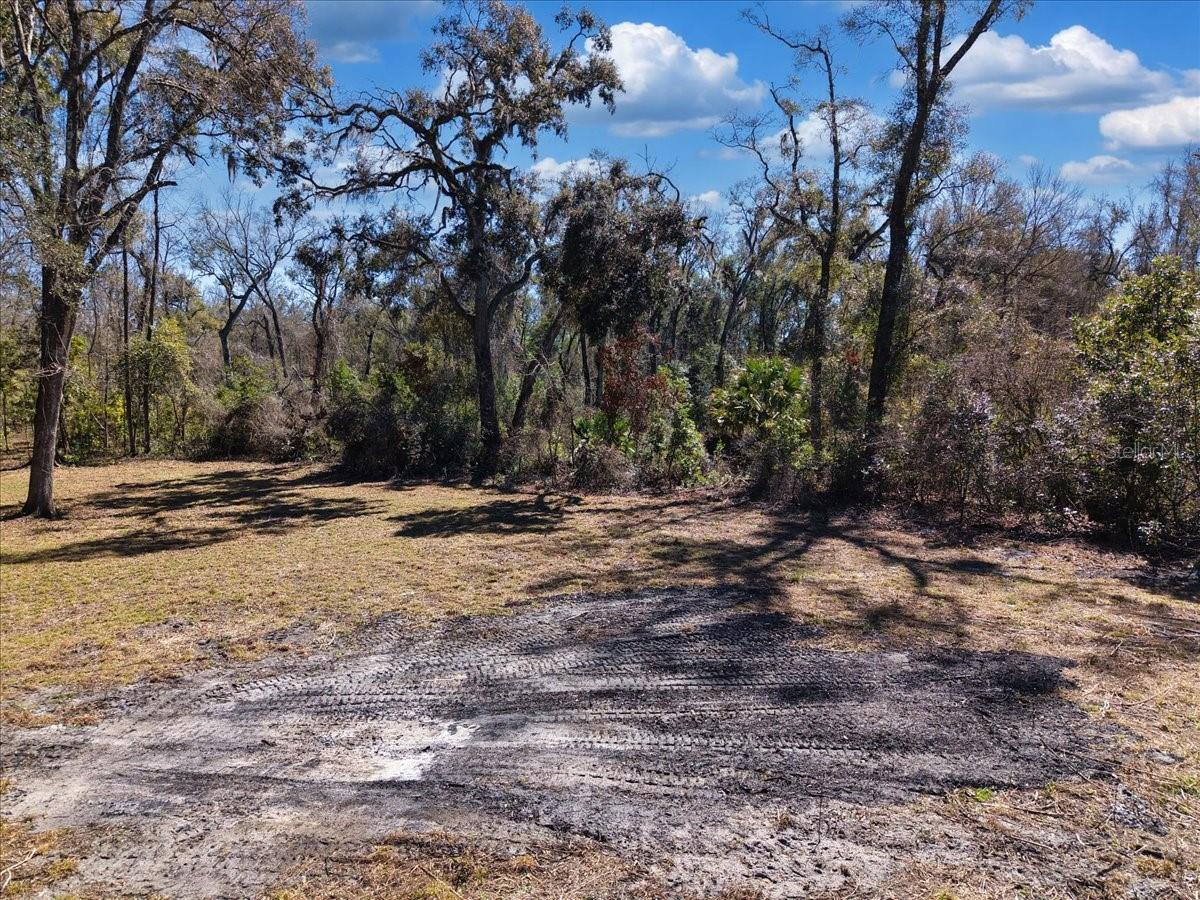 Image 6 of 16 For 4912 Highway 349