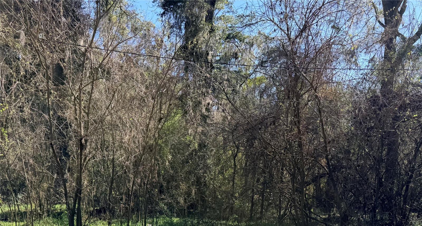 Details for Tbd Platted Road Way, ALACHUA, FL 32615