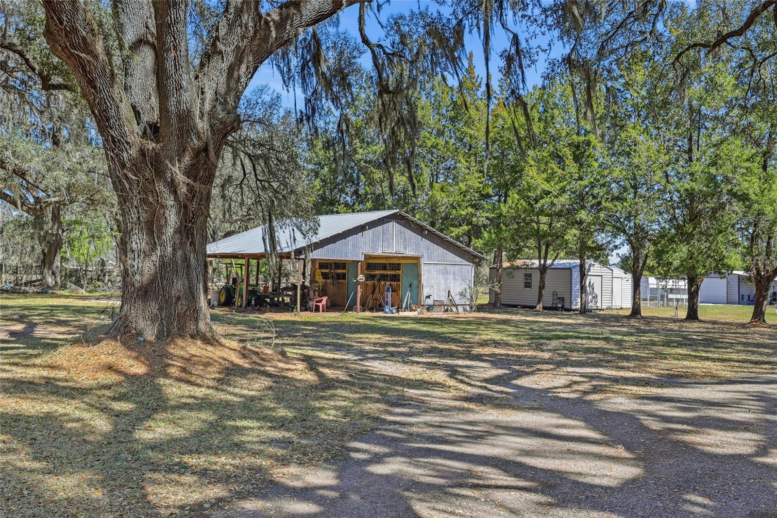 Image 31 of 42 For 15629 County Road 231