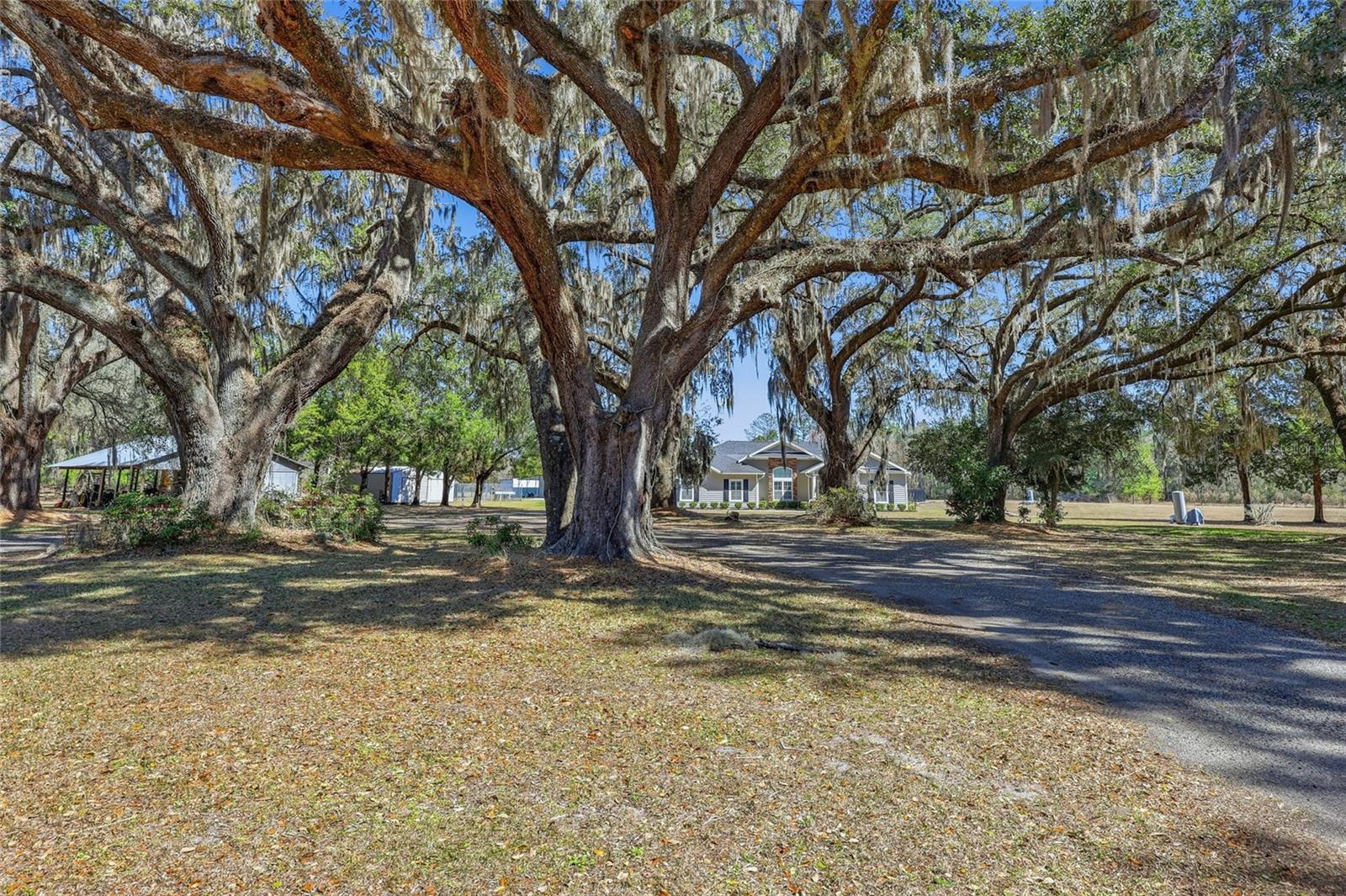 Image 42 of 42 For 15629 County Road 231