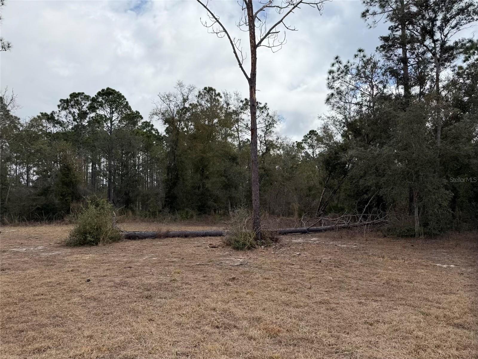 Image 23 of 25 For 13510 Gulf Manor