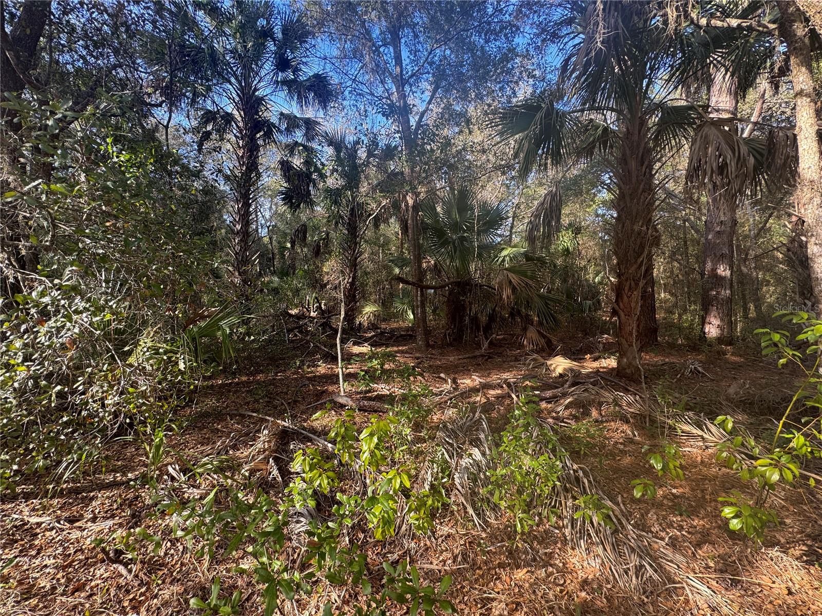 Image 4 of 4 For 8627 Rue Des Prairies Place