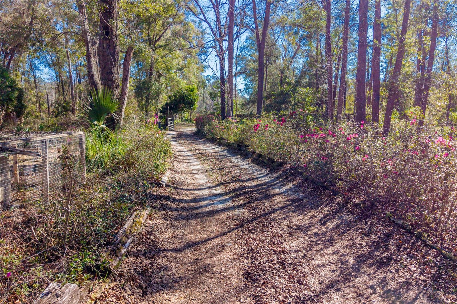 Image 21 of 35 For 383 355th Avenue