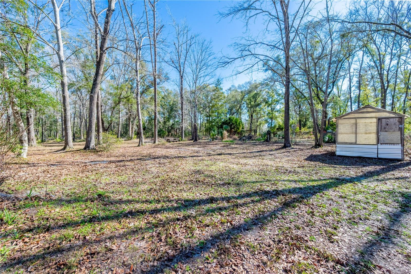 Image 31 of 35 For 383 355th Avenue