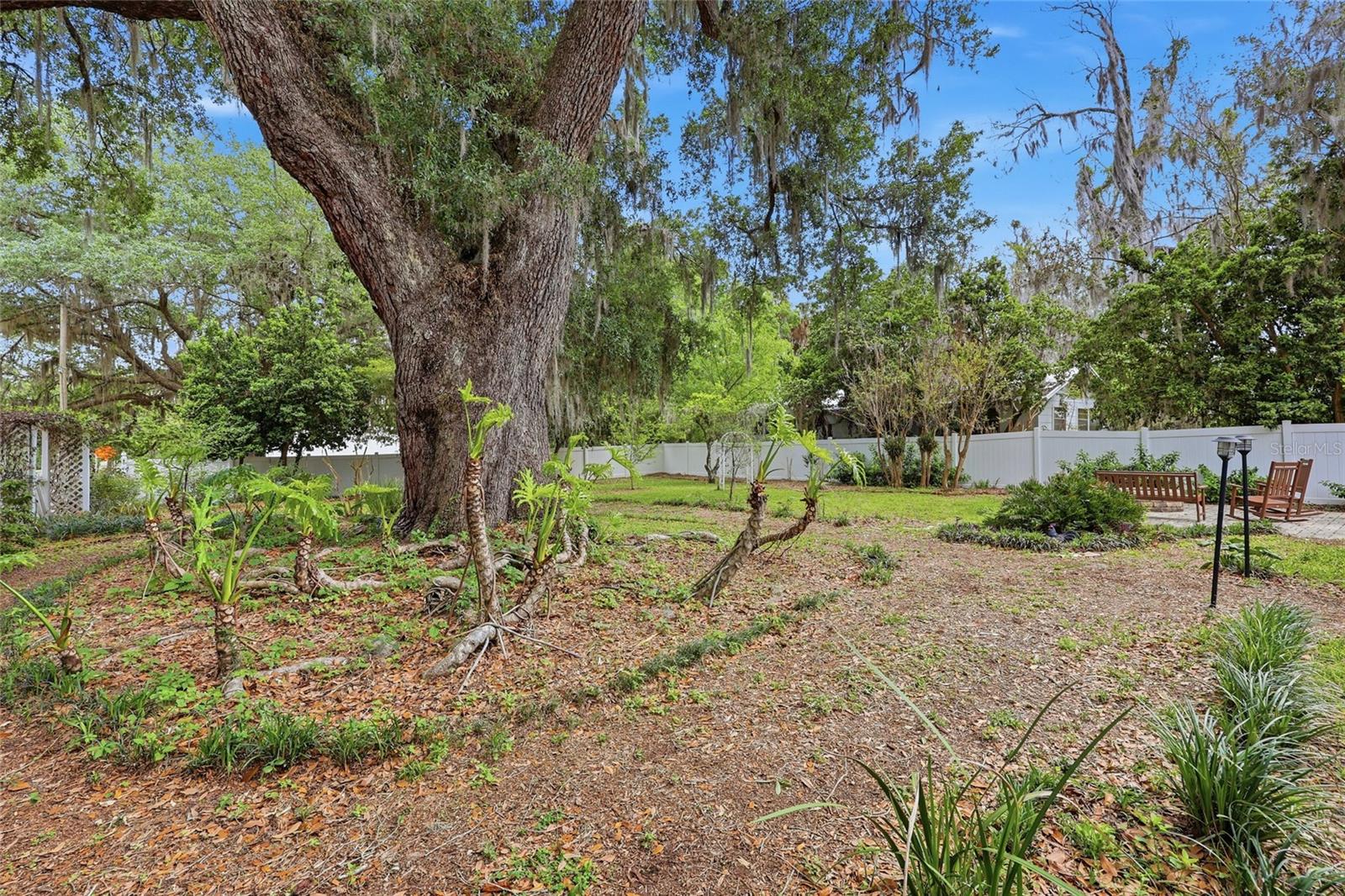 Image 33 of 45 For 6070 Avenue F