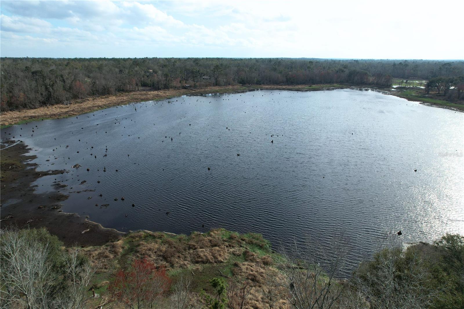Image 9 of 10 For 00 Bur Oak Place