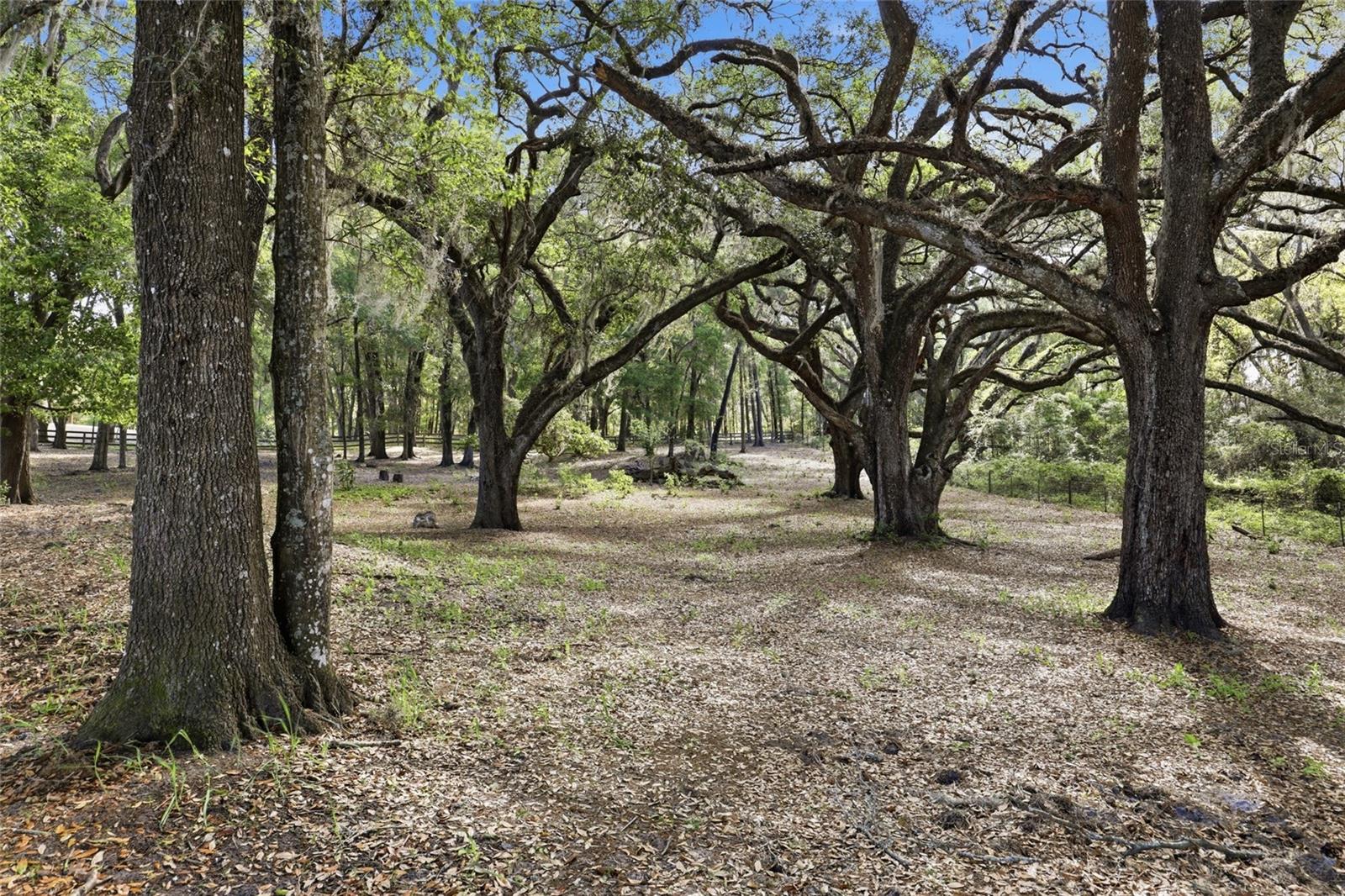 Image 63 of 72 For 9733 104th Lane