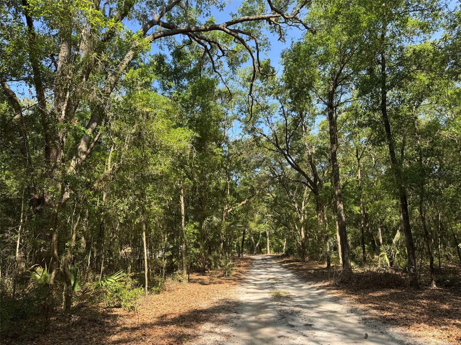 Image 2 of 42 For 6970 74th Street