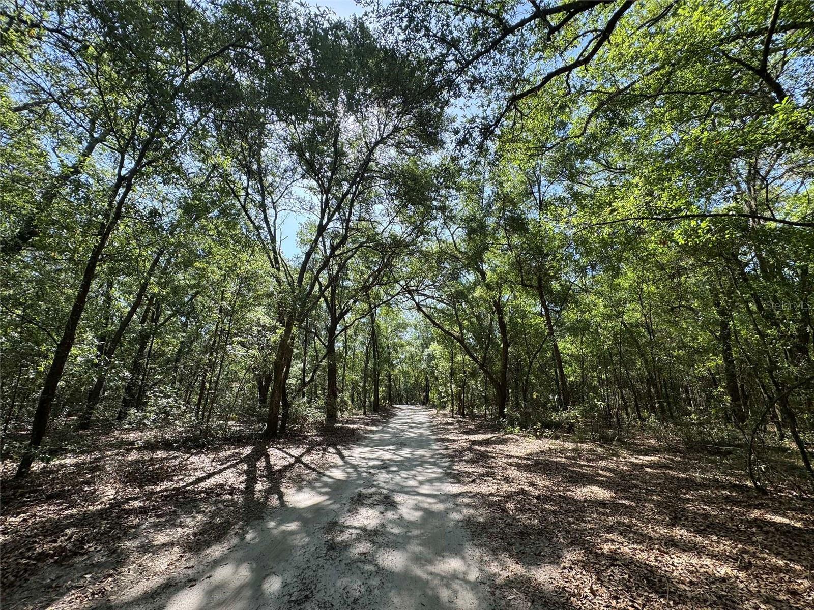 Image 31 of 42 For 6970 74th Street