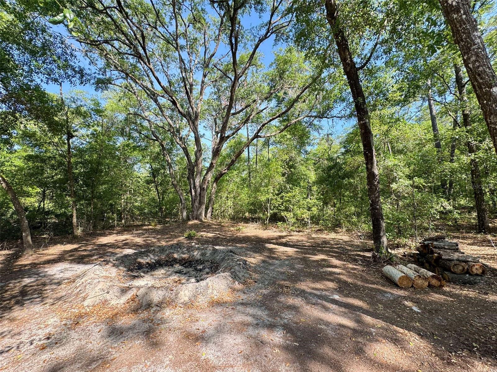 Image 34 of 42 For 6970 74th Street