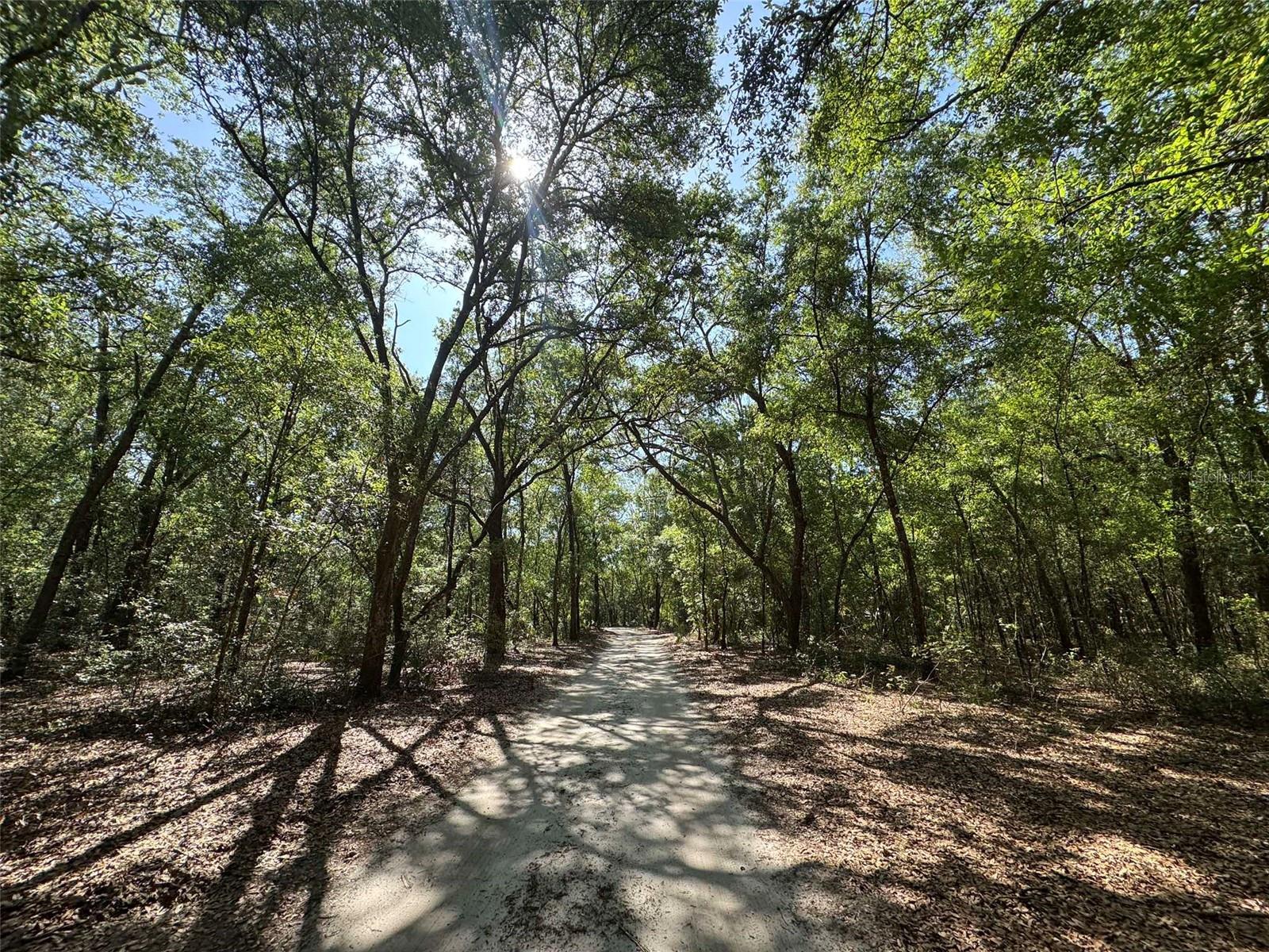 Image 35 of 42 For 6970 74th Street