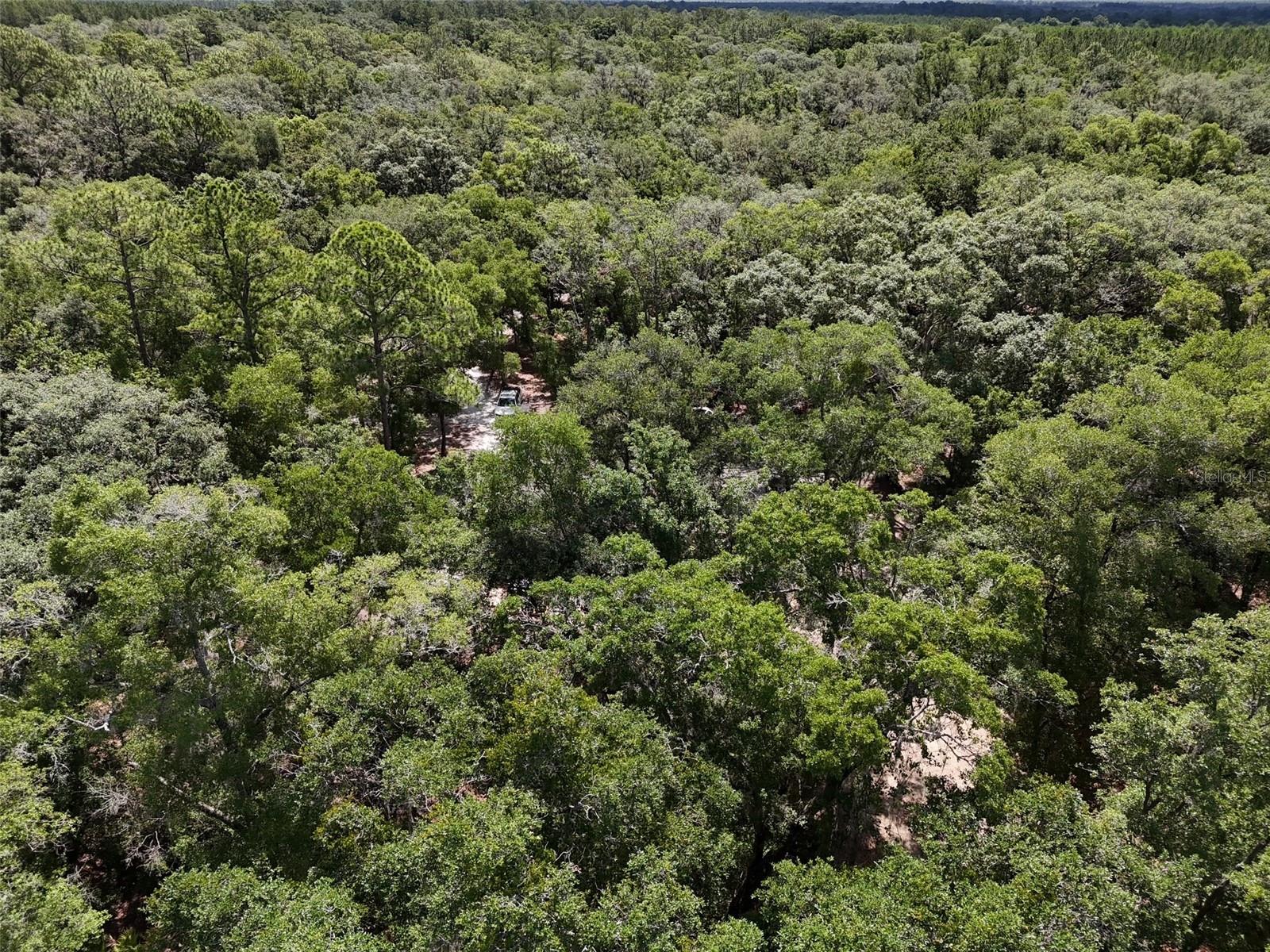 Image 37 of 42 For 6970 74th Street