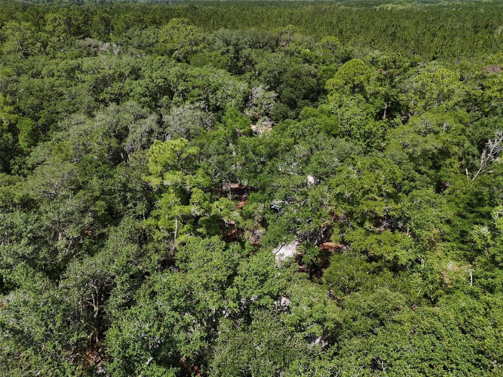 Image 38 of 42 For 6970 74th Street