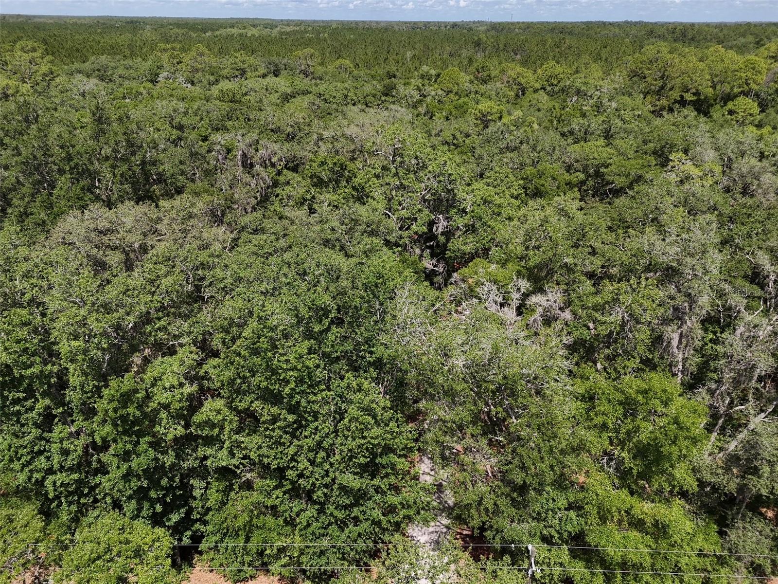 Image 39 of 42 For 6970 74th Street