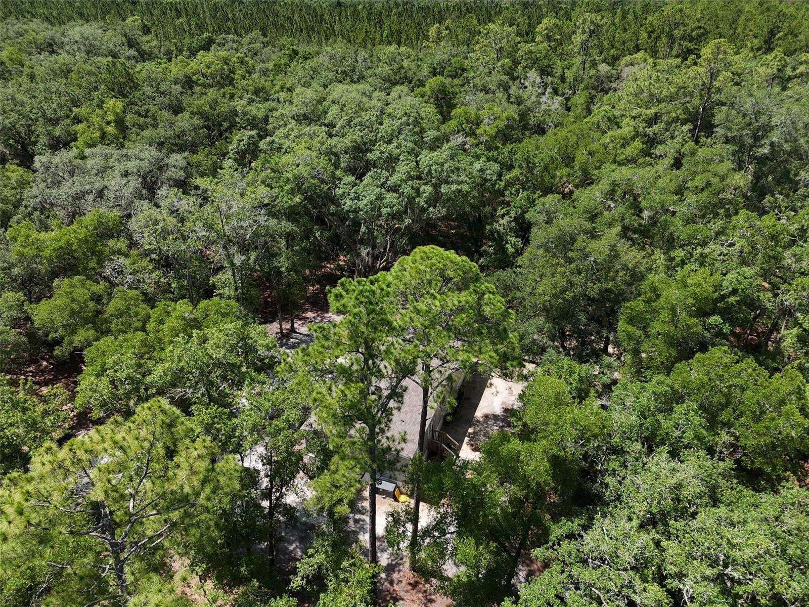 Image 40 of 42 For 6970 74th Street