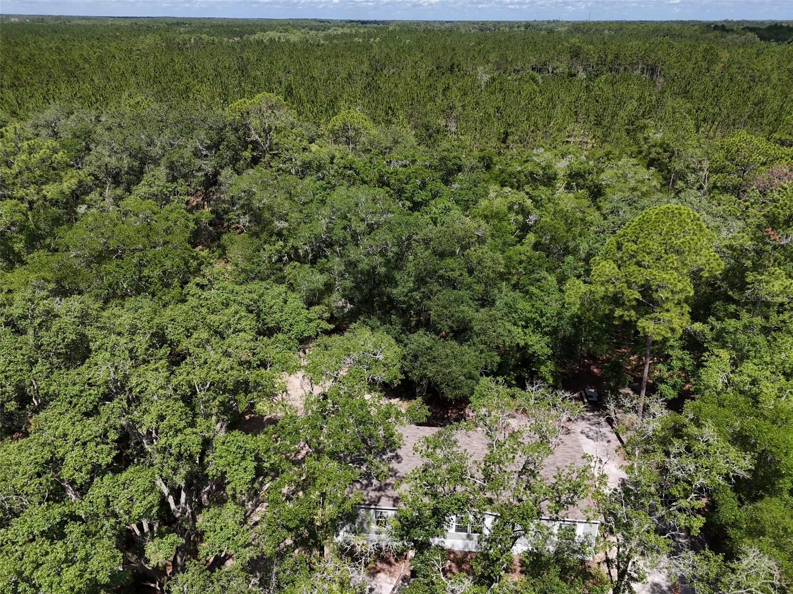 Image 41 of 42 For 6970 74th Street