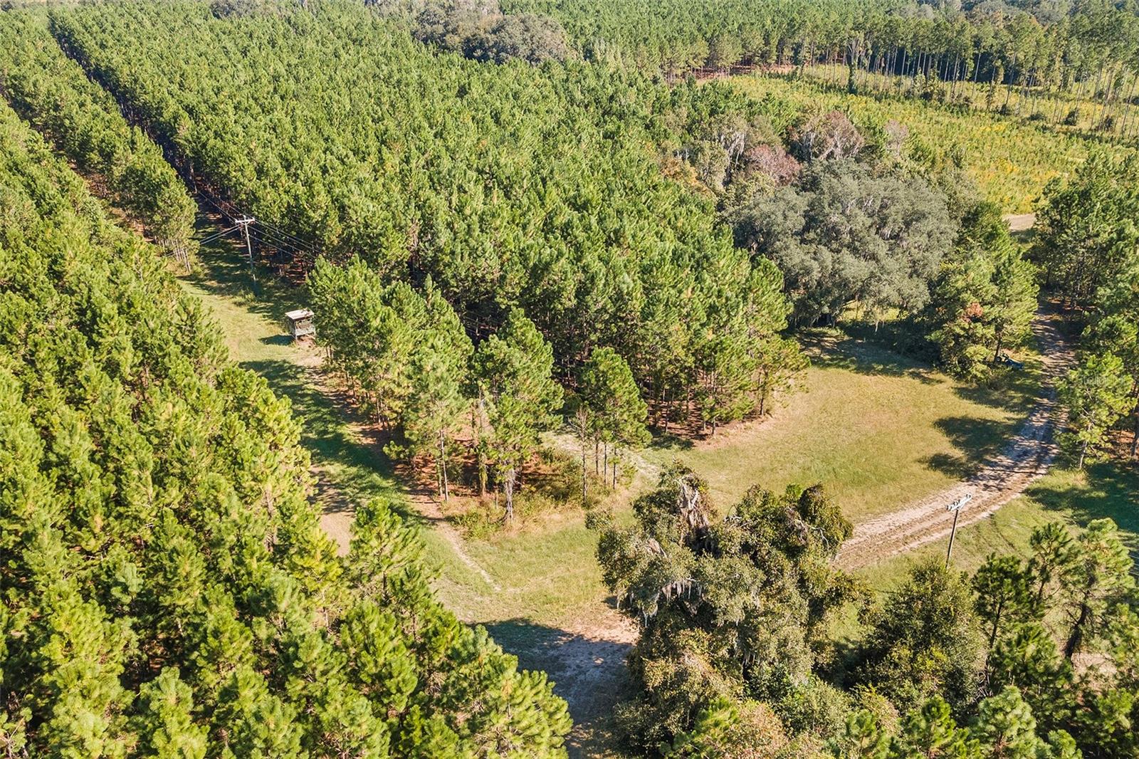 Image 15 of 18 For 21400 County Road 235a