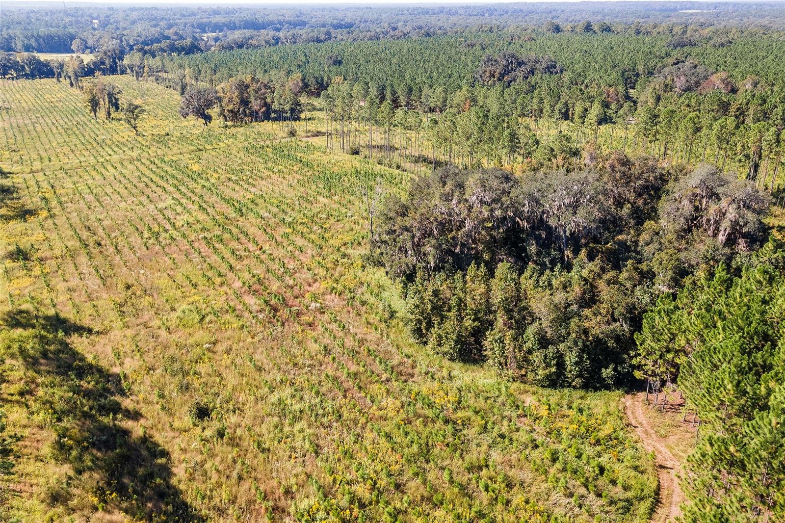 Image 16 of 18 For 21400 County Road 235a