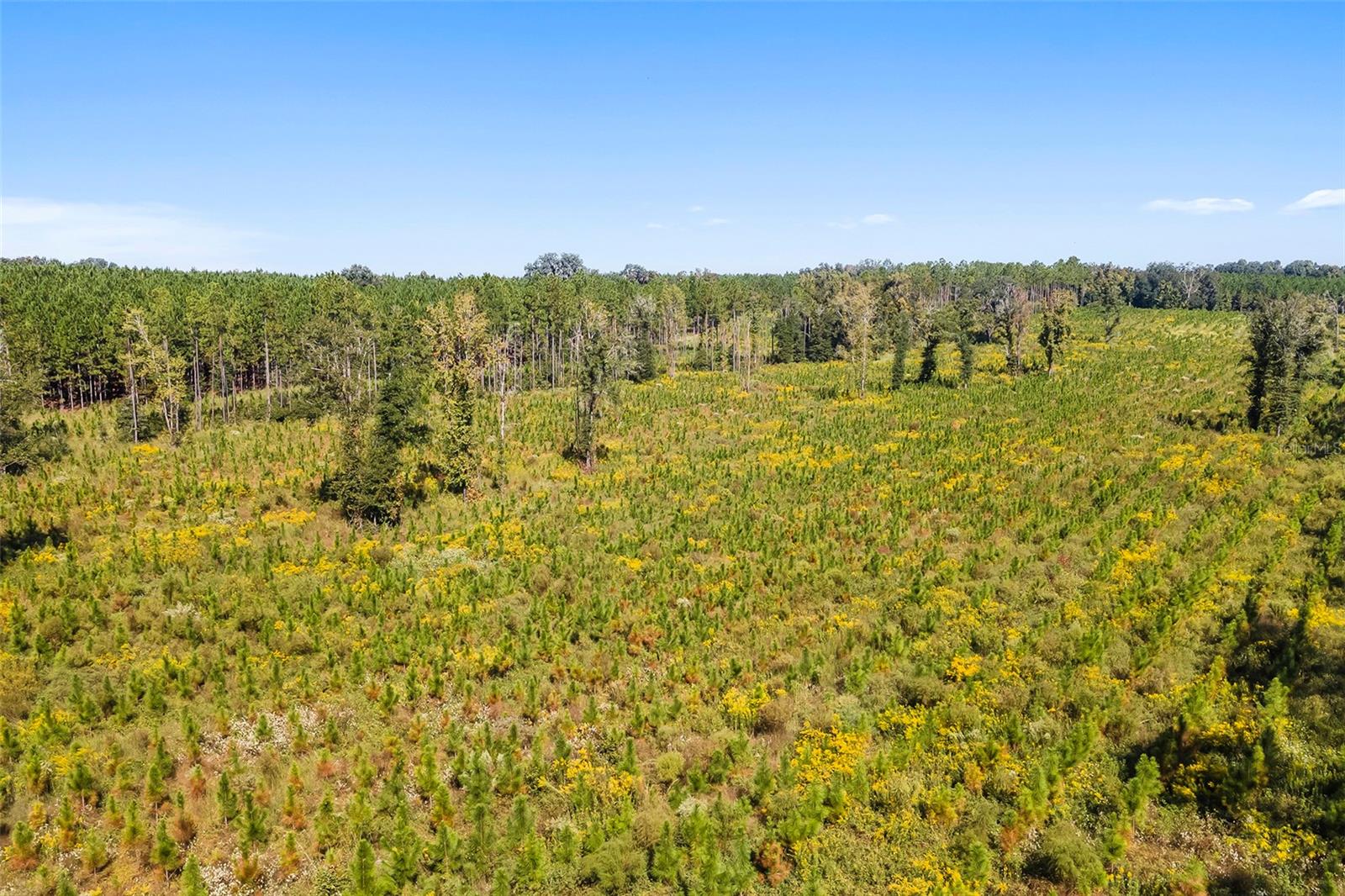 Image 18 of 18 For 21400 County Road 235a