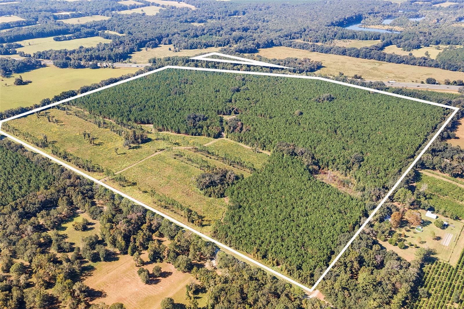 Image 5 of 18 For 21400 County Road 235a