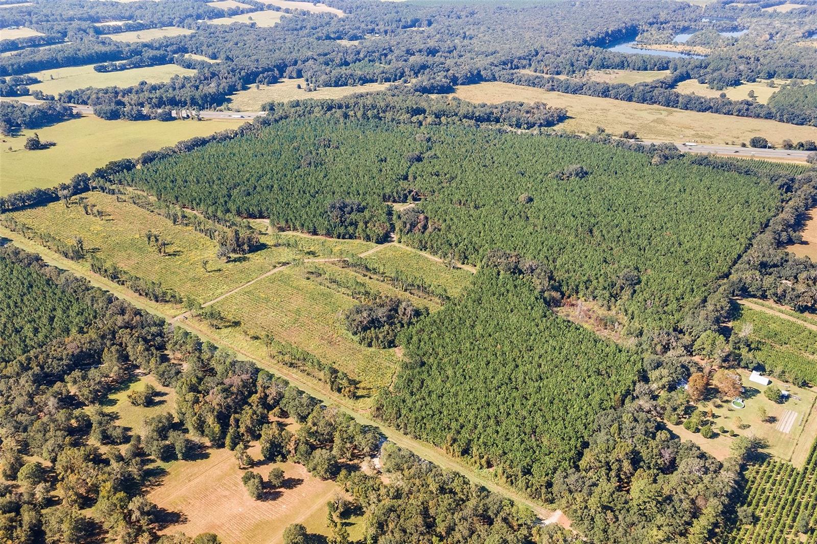 Image 6 of 18 For 21400 County Road 235a