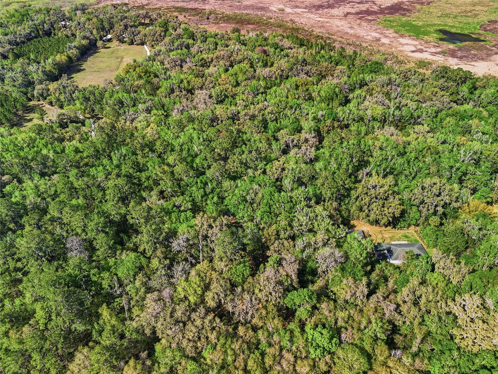 Image 30 of 32 For 8856 230th Street