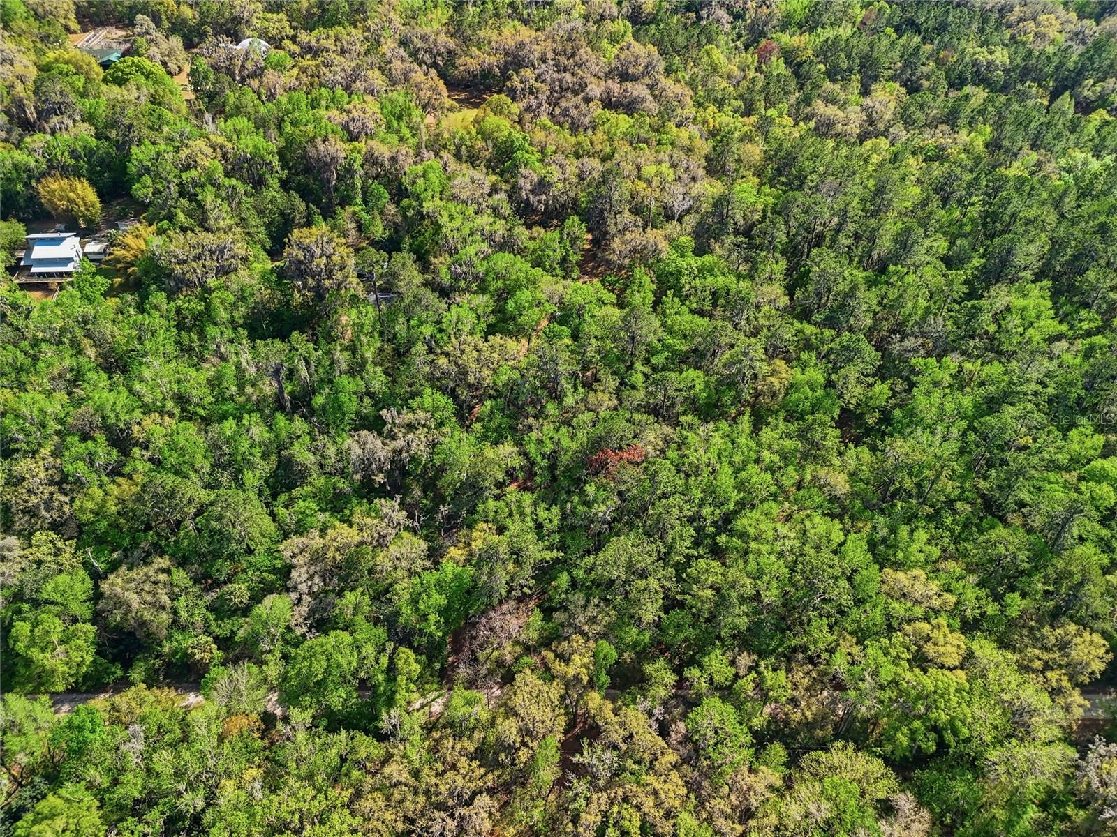 Image 32 of 32 For 8856 230th Street