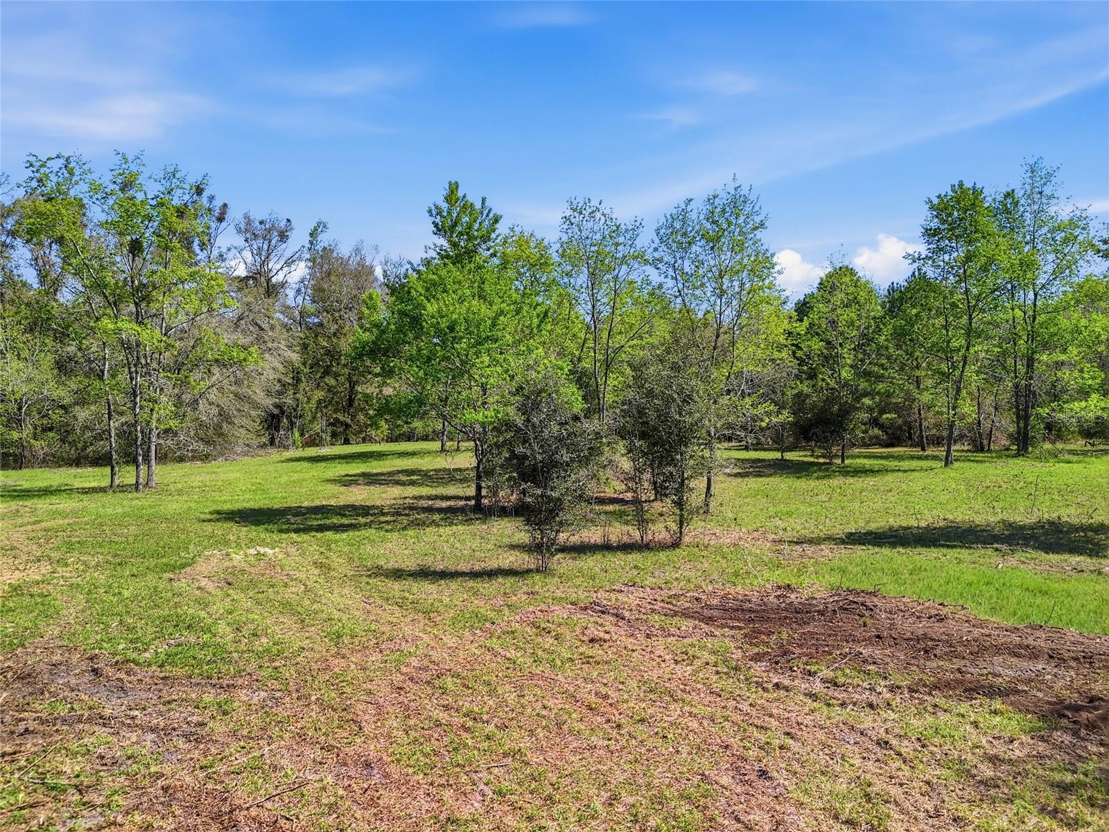 Image 2 of 8 For 6615 County Road 235