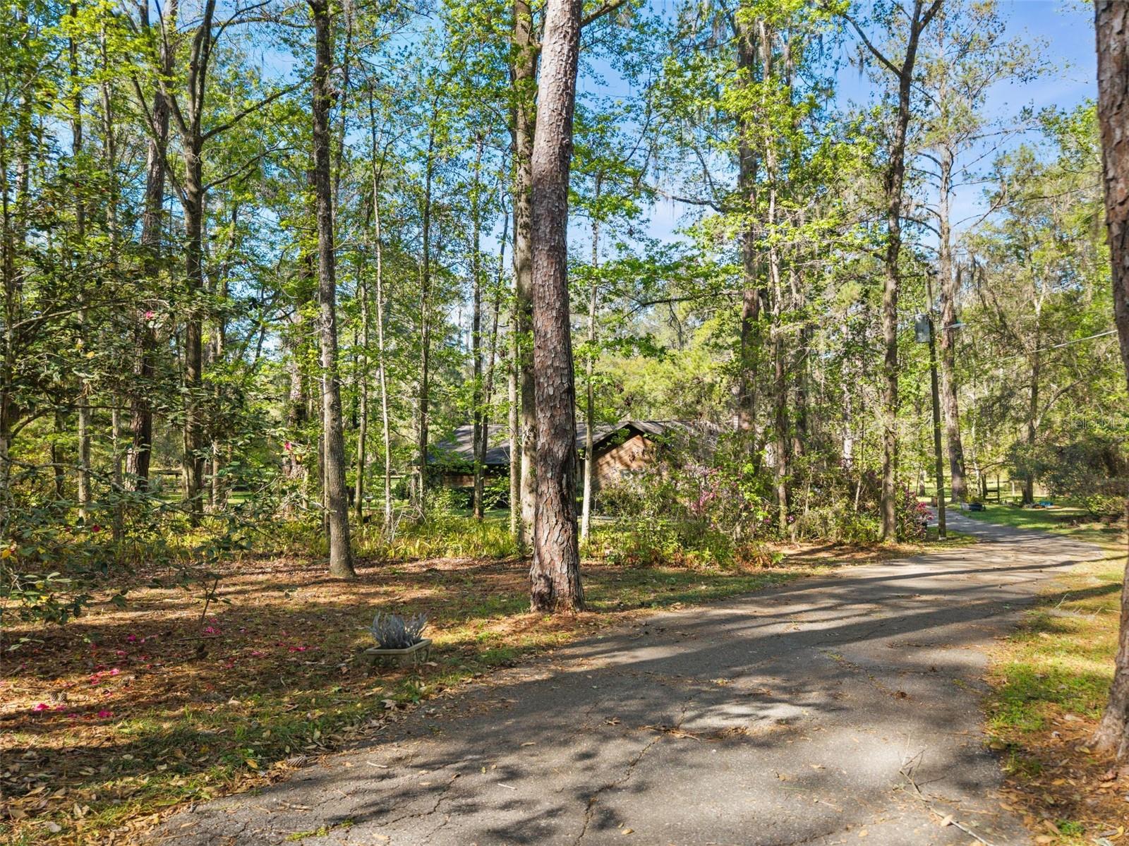 Image 10 of 26 For 5908 124th Street