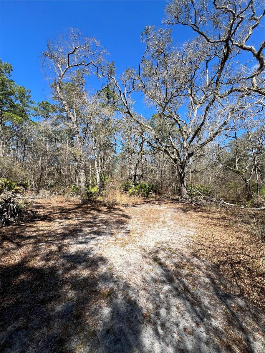 Image 14 of 22 For 0 Se Elisha Boulevard